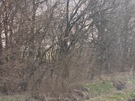22508971