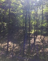 22808061