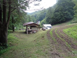 22540528