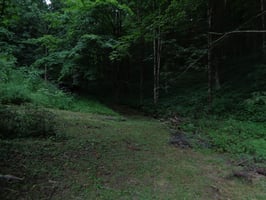 22540529