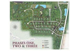22655211
