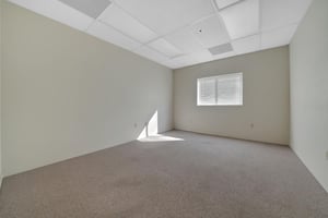 22666006