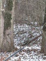 22678381