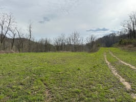 22684548