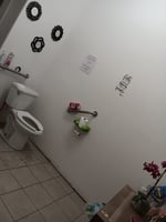 22696386
