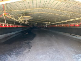 22709579