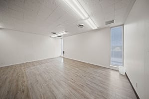 22713981