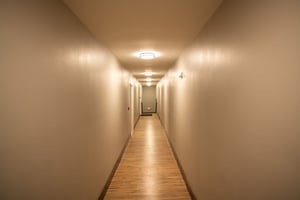 22987171