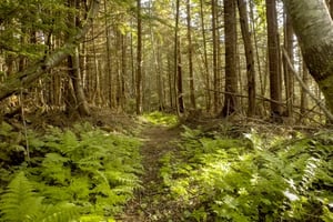 22761843