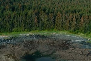 22761827