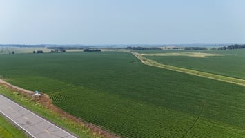25805616