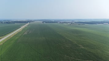 25805614