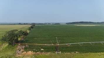 25805612