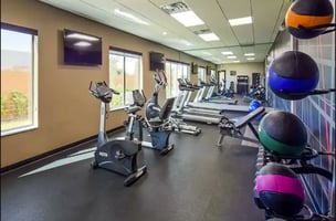 25506332