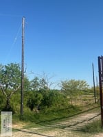 22883044