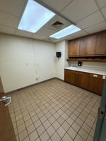29438592