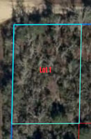 22796527