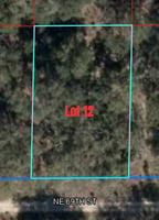 22796531