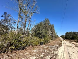 22796537