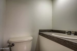 22804067