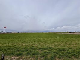 22820455