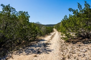 24652244