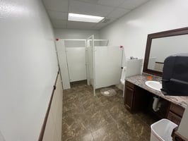 29497611