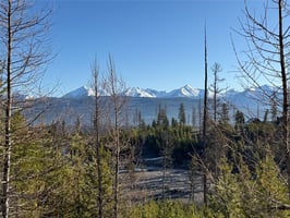 22874984