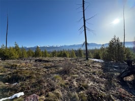 22874998