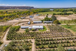 32405289