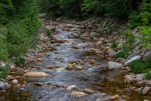 24904611