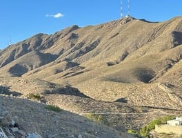 22909771