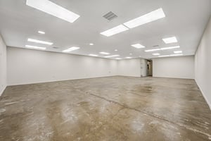 22911981