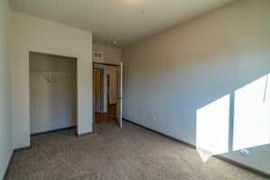 24594345