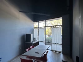22919524