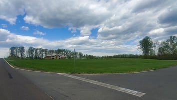 22955384