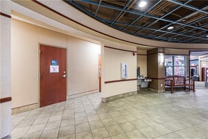 22931478