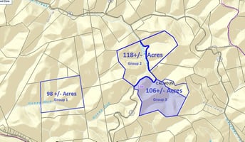 22959299