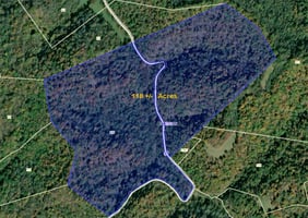 22959332