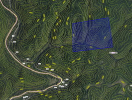 22959321