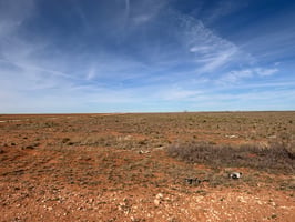22962164