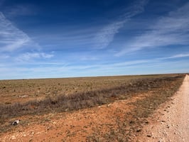 22962163