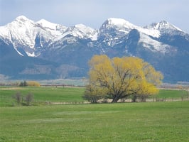 22963464