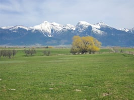 22963463