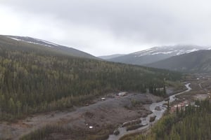 24386247