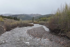 24386241