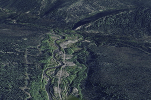 22972659