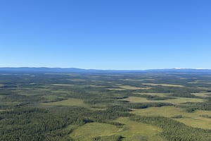 22972663