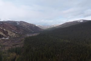24386239