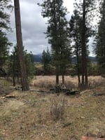 22982630